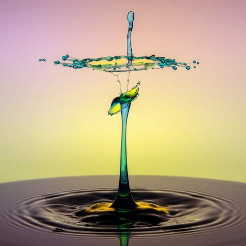 Preview Photographer\'s photo SAYADI YOUSEF