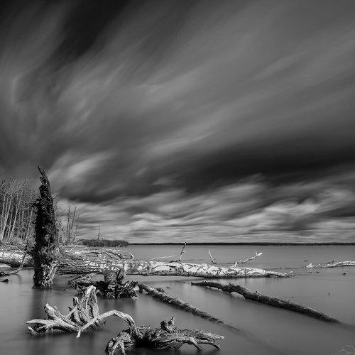 Preview Photographer\'s photo Sutkus Rolandas