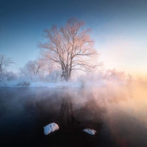 Preview Photographer\'s photo Алёна Рубан