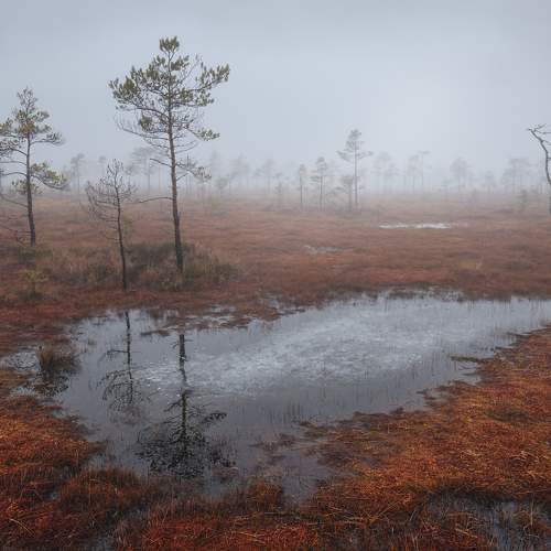 Превью фотографии фотографа Андрей