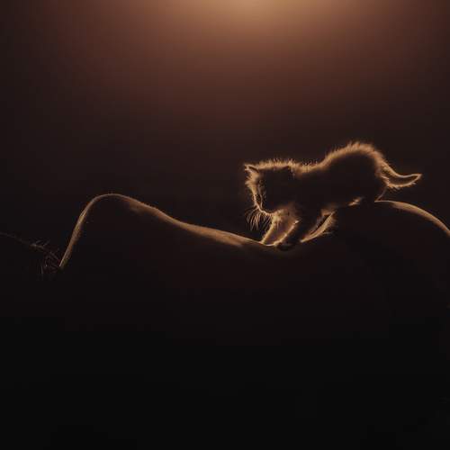 Превью фотографии фотографа Евгений Иванов