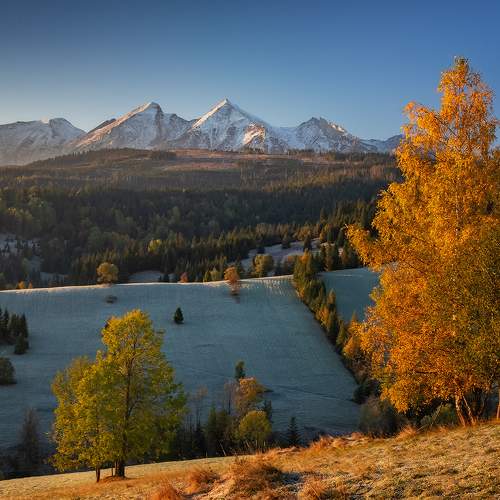 Preview Photographer\'s photo Waldemar Wienchol