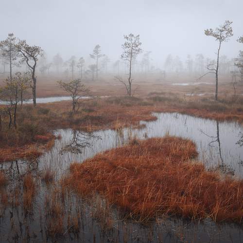 Превью фотографии фотографа Андрей