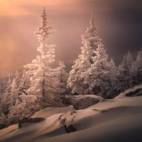 Превью фотографии фотографа Татьяна Бирюкова