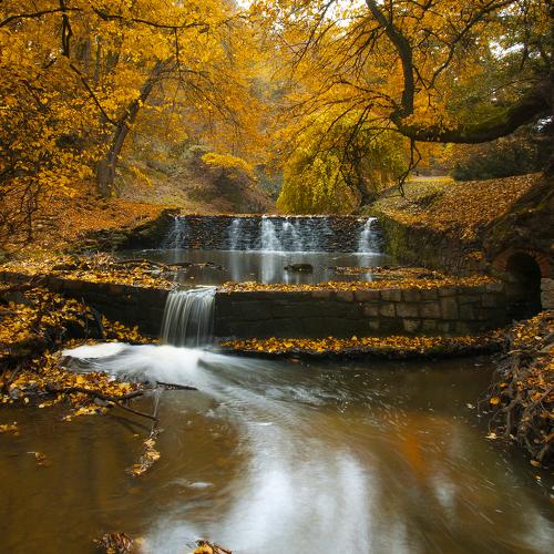 Превью фотографии фотографа Александр Беляев