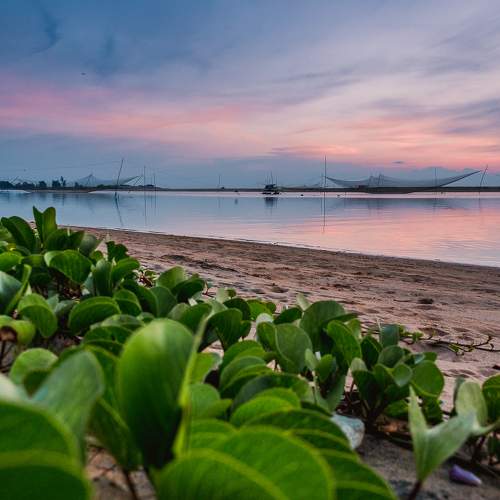 Preview Photographer\'s photo Pham Anh Vu