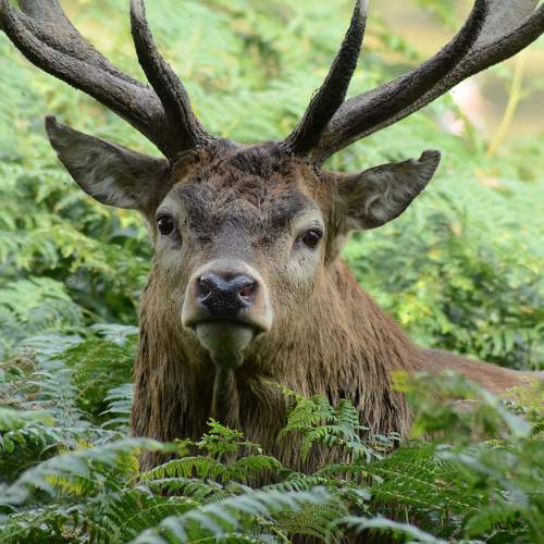 Превью фотографии фотографа PIOTR CZARNIECKI