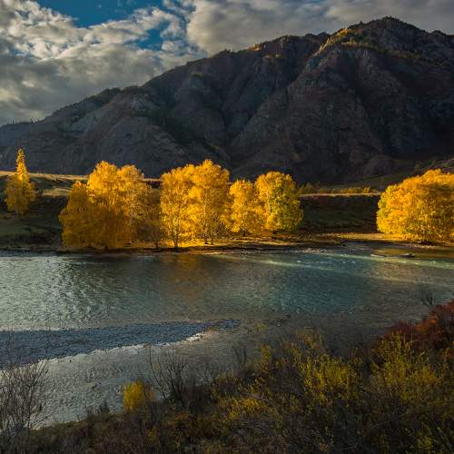 Превью фотографии фотографа Чичкин Валерий