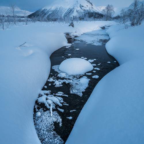 Preview Photographer\'s photo Gennadiy Korzh