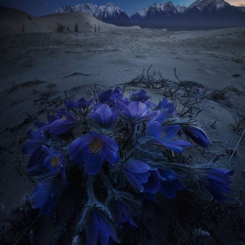 Превью фотографии фотографа Natalia Zakharova