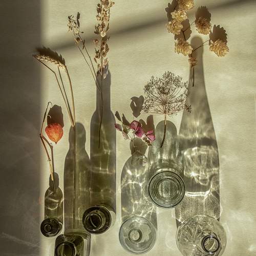 Превью фотографии фотографа Хаева Марина