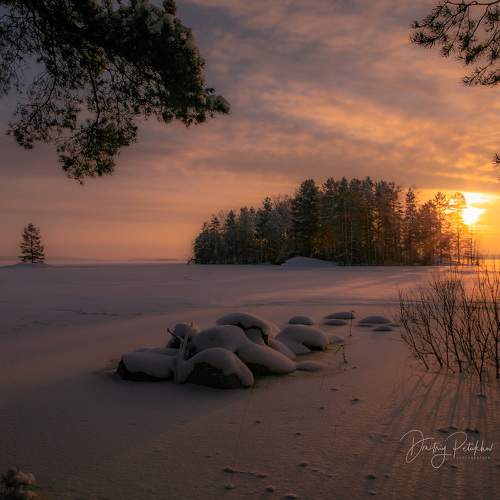 Превью фотографии фотографа Дмитрий Петухов