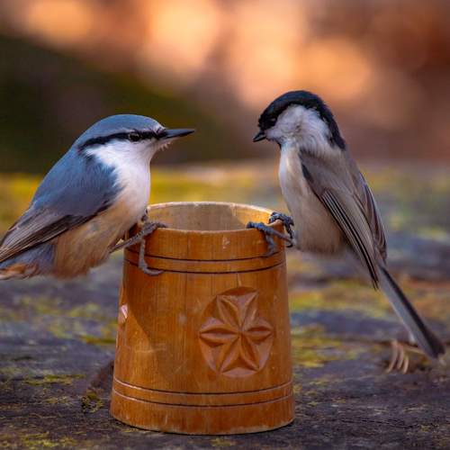 Превью фотографии фотографа Evgenia Loskutova