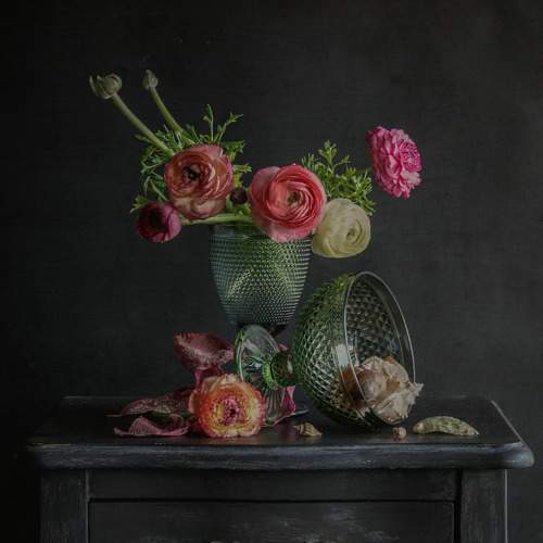 Превью фотографии фотографа Milla Walmus