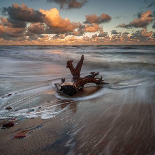 Preview Photographer\'s photo Andris Polikevics