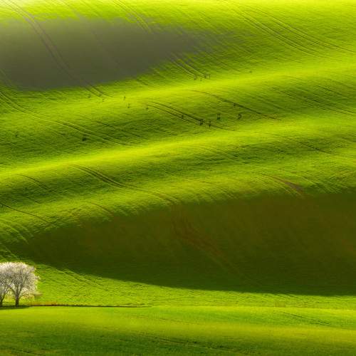 Preview Photographer\'s photo Stanislav Judas