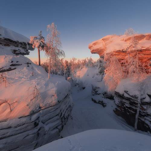Превью фотографии фотографа Дмитрий Шишкин