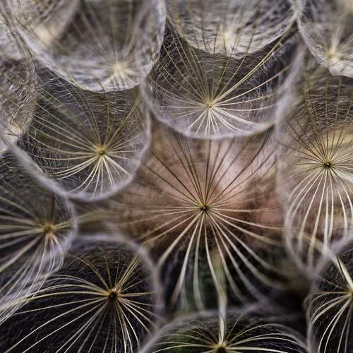 Превью фотографии фотографа David Solodar