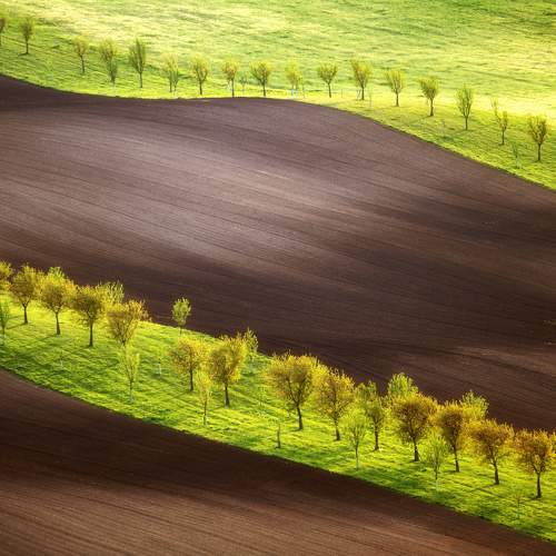 Превью фотографии фотографа Milan Samochin
