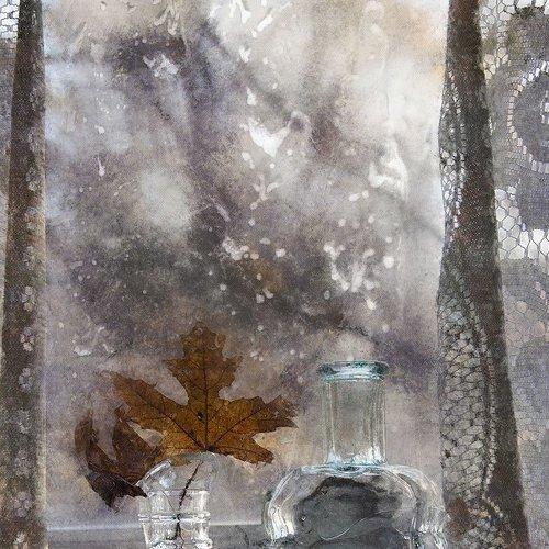 Preview Photographer\'s photo Vera Misha McDonald