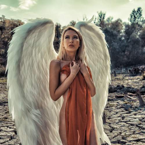 Preview Photographer\'s photo Arti Vladi