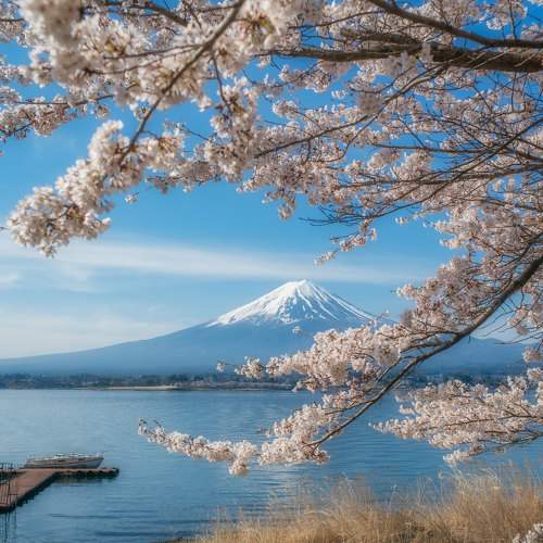 Превью фотографии фотографа Nguyen Khac Tien