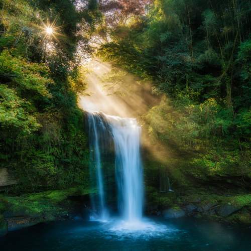 Превью фотографии фотографа Nguyen Khac Tien