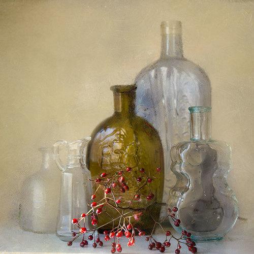 Preview Photographer\'s photo Vera Misha McDonald