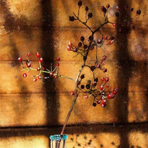 Превью фотографии фотографа Vera Misha McDonald