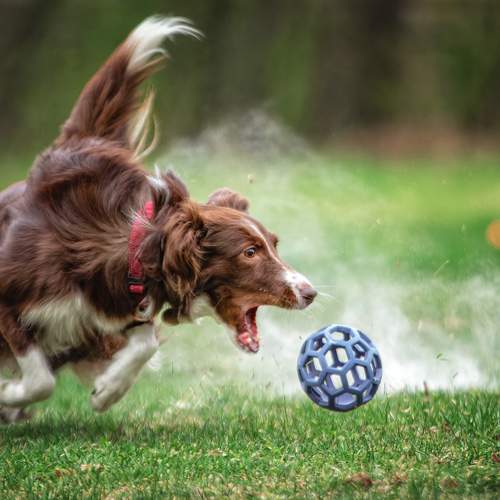 Превью фотографии фотографа Зубкова Юлия