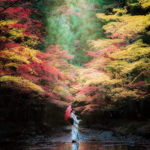 Превью фотографии фотографа Nguyen Khac Tien