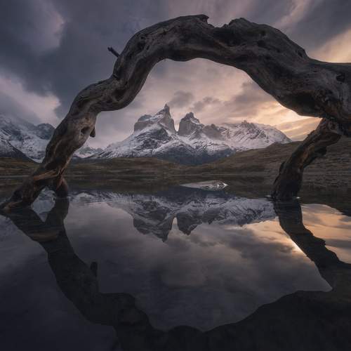 Превью фотографии фотографа Политова Анна