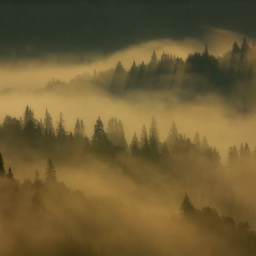 Превью фотографии фотографа Александр Чазов