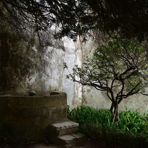 Превью фотографии фотографа Machado Carlos