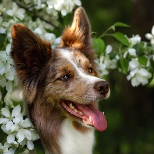 Превью фотографии фотографа Зубкова Юлия