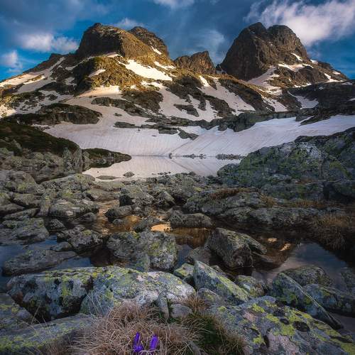 Preview Photographer\'s photo Mariyana Atanasova - Lucero