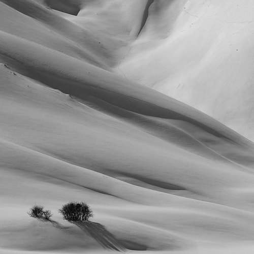 Preview Photographer\'s photo Farid Ataei