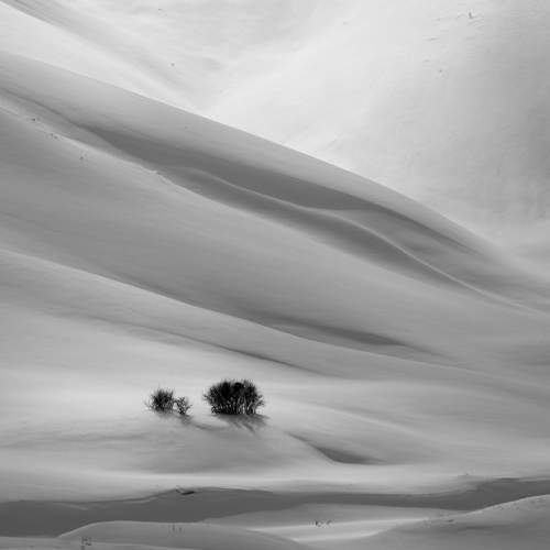 Preview Photographer\'s photo Farid Ataei