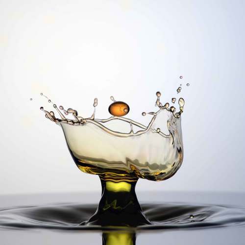 Превью фотографии фотографа SAYADI YOUSEF