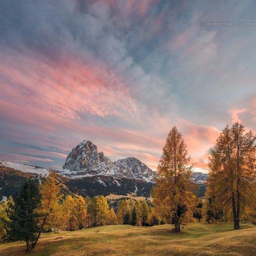 Превью фотографии фотографа Ростовский Антон