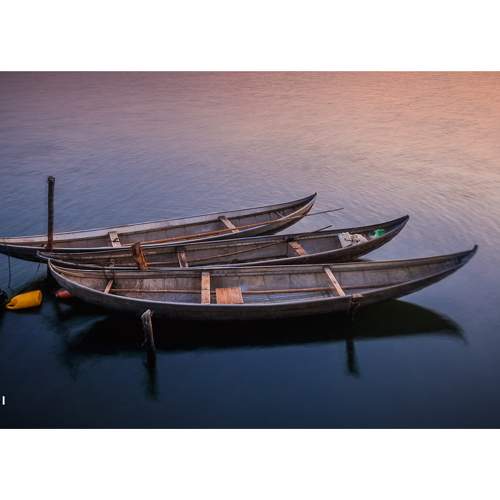 Preview Photographer\'s photo Pham Anh Vu