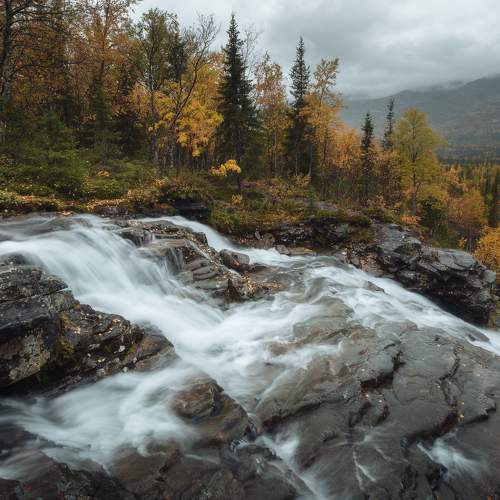 Превью фотографии фотографа Александр Писарев