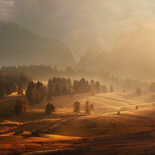 Preview Photographer\'s photo Daniel Rericha