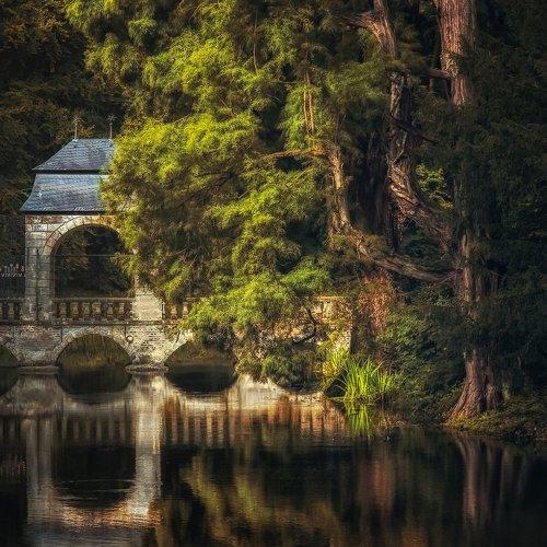 Preview Photographer\'s photo Сергей Нестеров