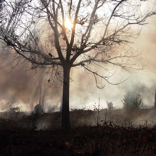 Preview Photographer\'s photo Farid Ataei