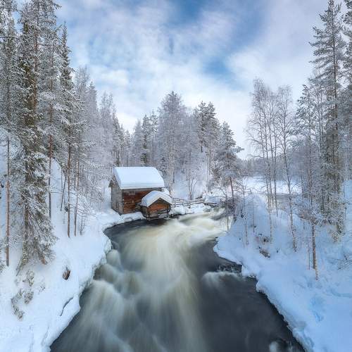 Preview Photographer\'s photo Андрей Овдиенко