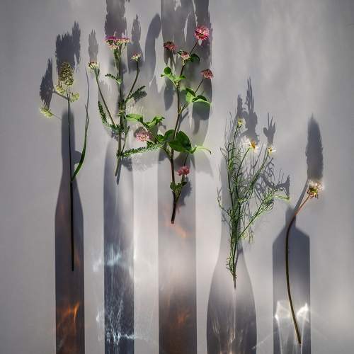 Превью фотографии фотографа Tata Bakbak