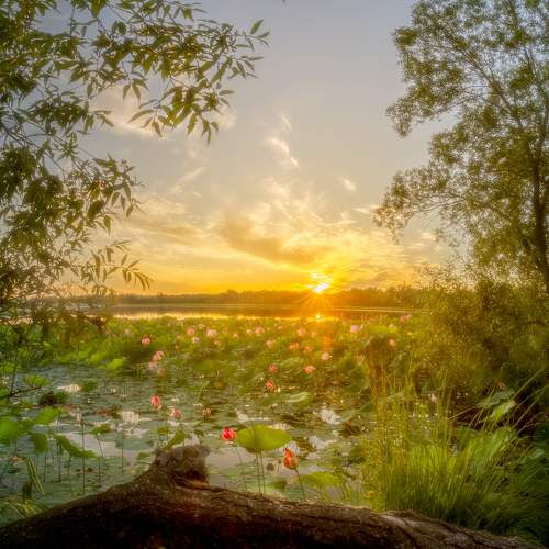 Превью фотографии фотографа Александр Новиков