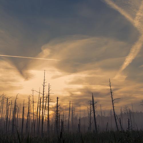 Preview Photographer\'s photo Zenonas Mockus