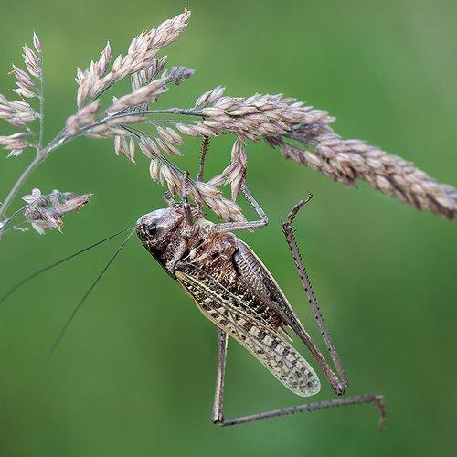 Preview Photographer\'s photo Linas T